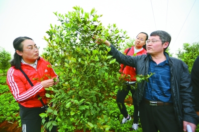 片區(qū)扶貧的新探索——武陵山片區(qū)脫貧攻堅紀實