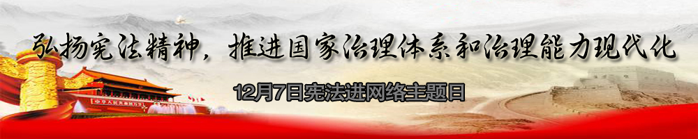 憲法進網(wǎng)絡主題日