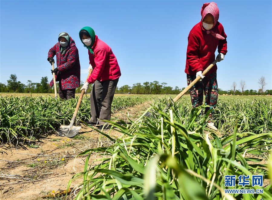 （新華全媒頭條·圖文互動(dòng)）（17）從人民中汲取磅礴力量——習(xí)近平總書記同出席2020年全國(guó)兩會(huì)人大代表、政協(xié)委員共商國(guó)是紀(jì)實(shí)