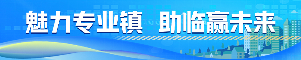 魅力專業(yè)鎮(zhèn) 助臨贏未來(lái)