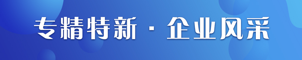 “專精特新·企業(yè)風采”