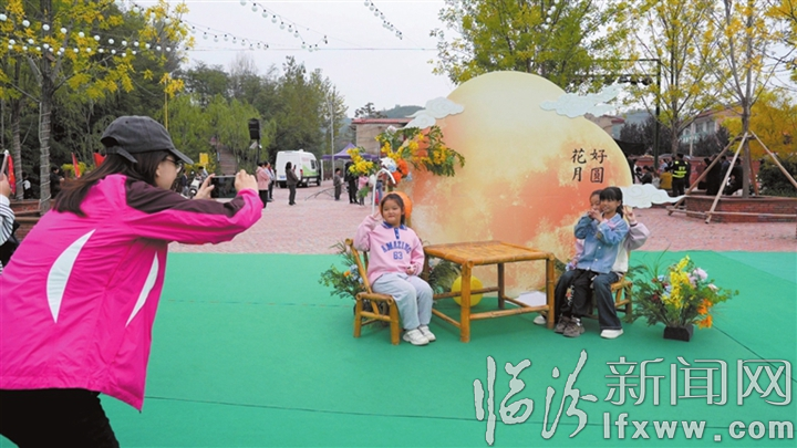 趣味陳列 花式合影.jpg