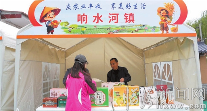 鄉(xiāng)鎮(zhèn)特產(chǎn) 集中亮相.jpg