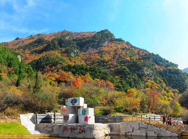 層林盡染（4張）