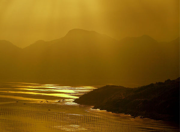 初陽荷花嬌（27張）