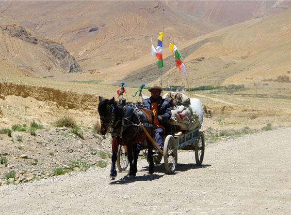 高原風(fēng)光（一）