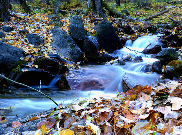 呂梁秋韻【二】（8張）