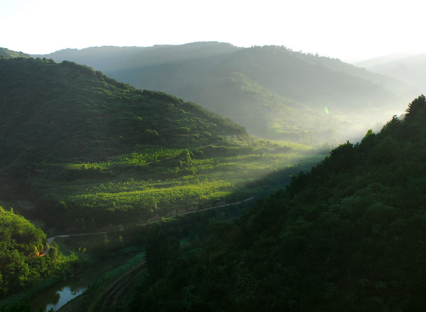 吉縣人祖山（3張）