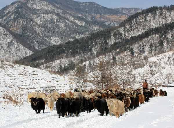 濱河風(fēng)光（8張）