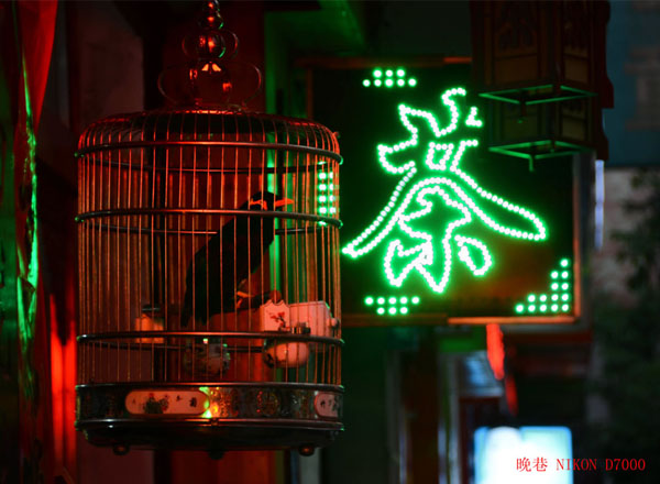 汾河印象（5張）