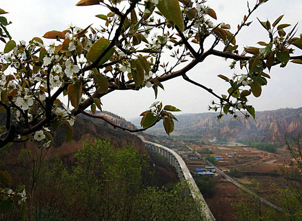美麗隰縣（8張）
