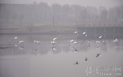 金梨之鄉(xiāng)鐵路來（10張）