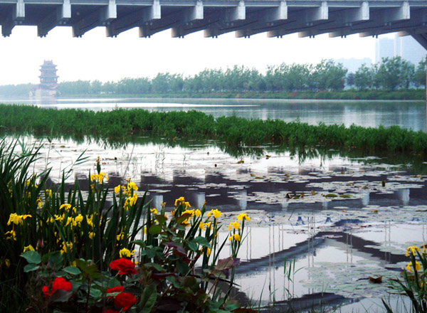 雨后濱河（5張） 